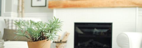 Contracting & Construction Management